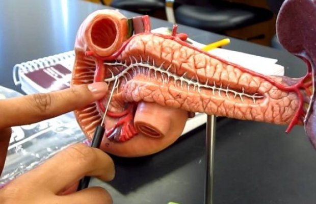 Mədəaltı vəzi xərçənginin müalicəsində İLK - Avropada da təsdiqləndi