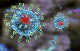 İnsanın koronavirus infeksiyasından sağala bilməmə ehtimalını göstərən - Yeni proqram