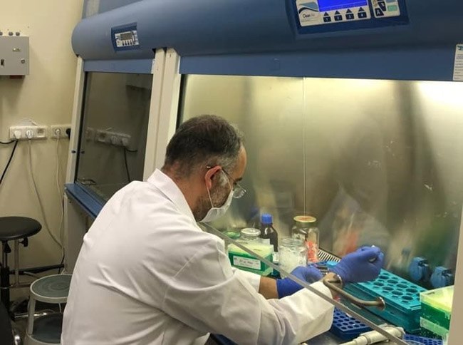 Türk alimləri koronavirusun təsirlərini araşdırıb