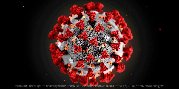 Hava çirklənməsi koronavirusdən ölüm riskini artırır - ARAŞDIRMA