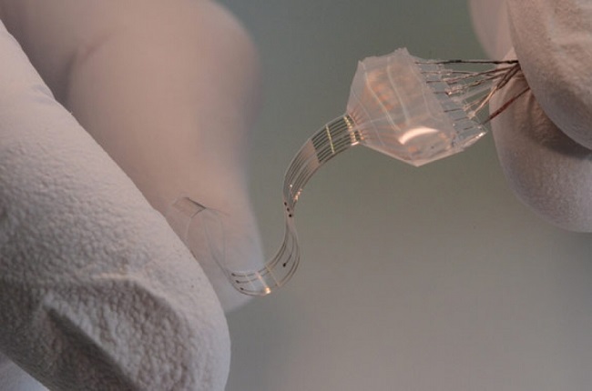 Onurğa beyni implantını 3D çapı vasitəsilə həyata keçirmək olar