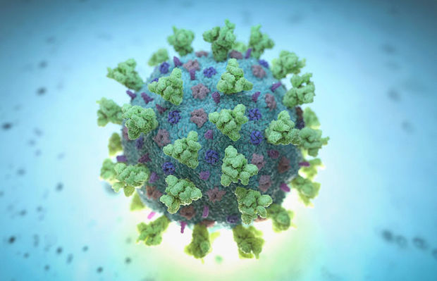 Dünyada koronavirusa yoluxanların sayı 30 milyon nəfəri ötüb