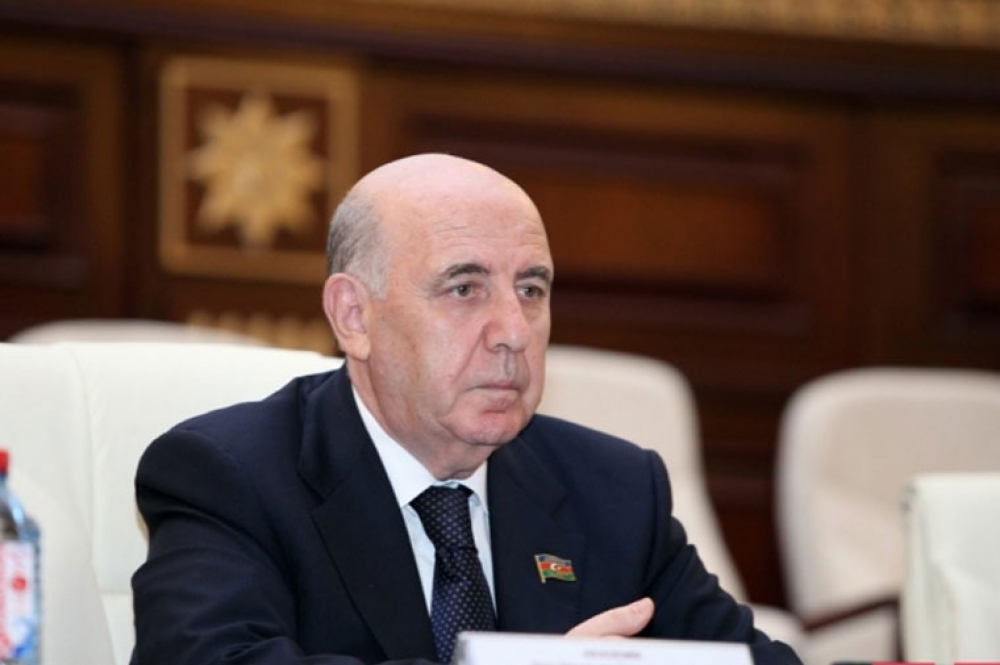 Milli Məclisin Səhiyyə komitəsinin sədri: “Sülhməramlılarsız sülhü bərpa etmək mümkün deyildi”