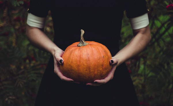 Rasionunuza balqabaq əlavə etməyin 7 faydalı səbəbi