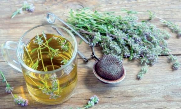 Stress və infeksiya əleyhinə güclü vasitə - Kəklikotu