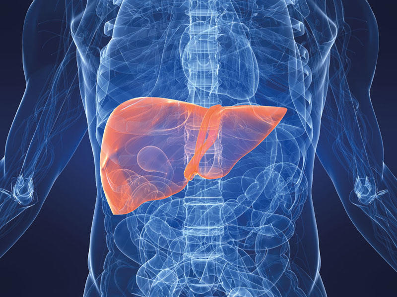 Qaraciyər yağlanmasının qarşısını alan QİDALAR