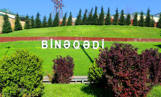 Bakıda koronavirusa ən yüksək yoluxma Binəqədidədir