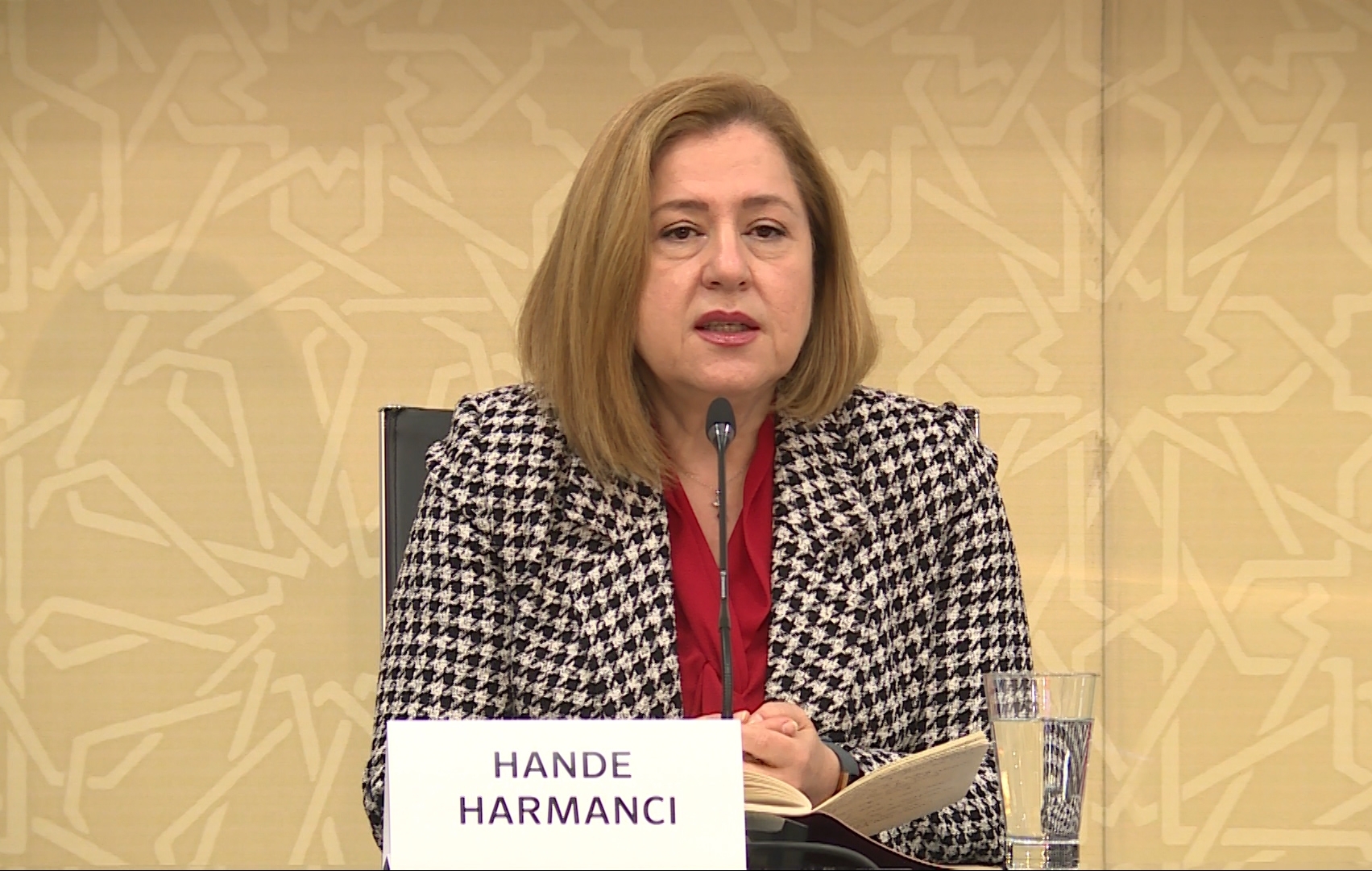 Tədbirlər görülməsə, yoluxma sayı iki dəfə arta bilər - Hande Harmancı  