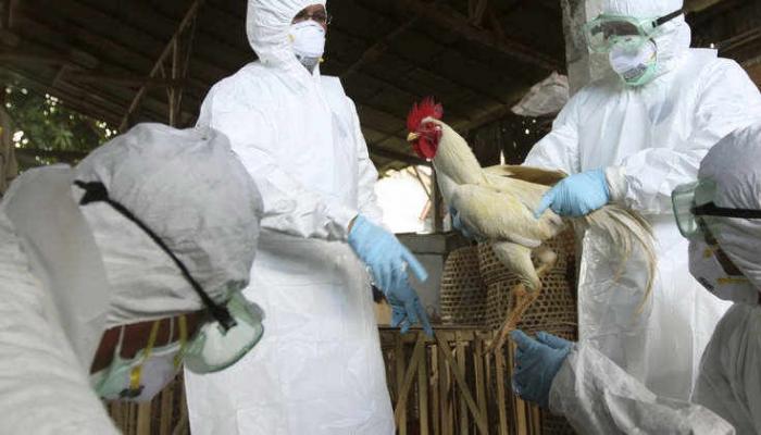 Fransada yeni qrip xəstəliyi yayılır