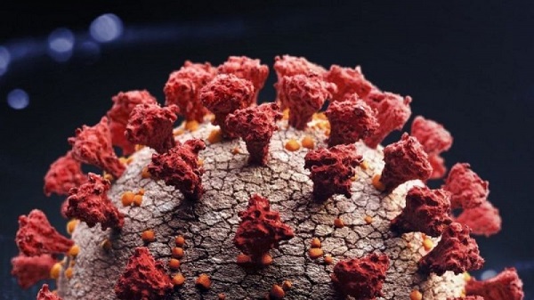 Britaniyada koronavirusun yeni ştammı aşkar edilib