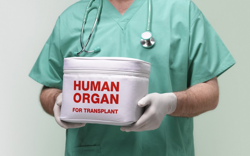Canlı donordan transplantasiya məqsədilə hansı orqanlar götürüləcək?