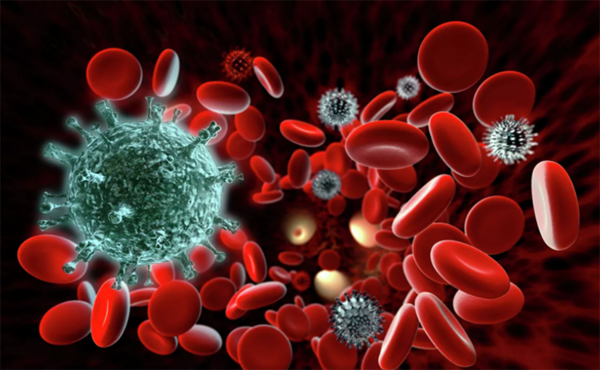 Pandemiya zamanı virusa qarşı ən güclü immunitet açıqlandı