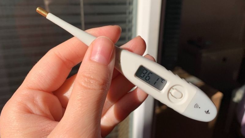 Koronavirus zamanı anomal gedişat: temperatur çox aşağı olur