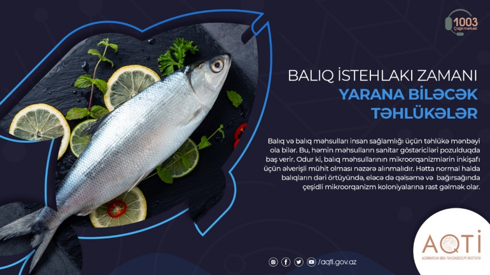 Balıq istehlakı zamanı nələrə diqqət yetirilməlidir?