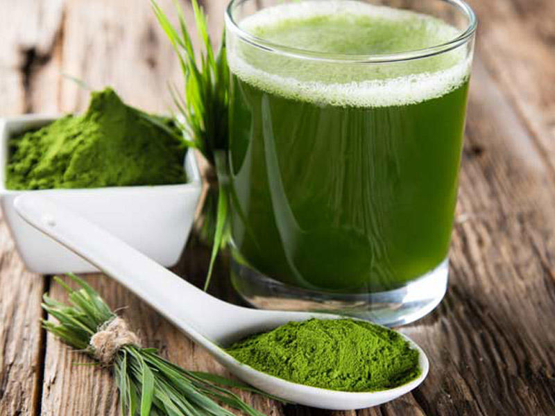 Buğda suyunun İNANILMAZ FAYDALARI: hər gün bir stəkan içsəniz...