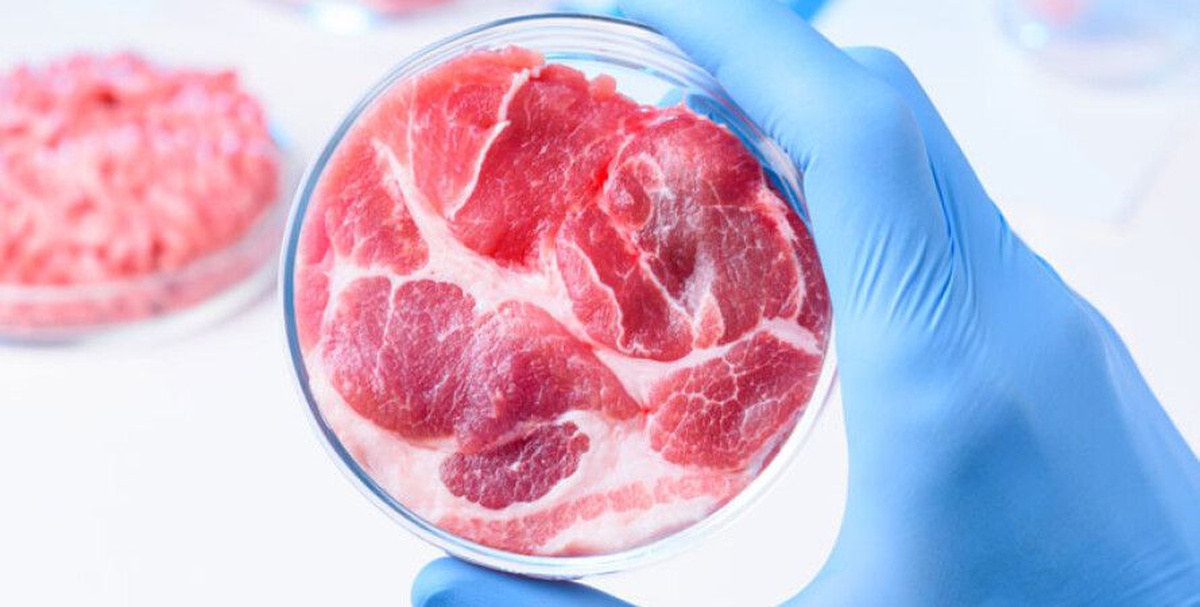 Dünyada ilk dəfə: heyvan öldürülmədən hazırlanan ətin satışına icazə verildi