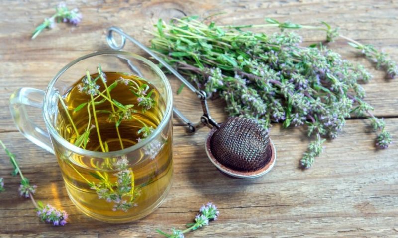 İmmun sistemini gücləndirən kəklikotu bitkisinin faydaları