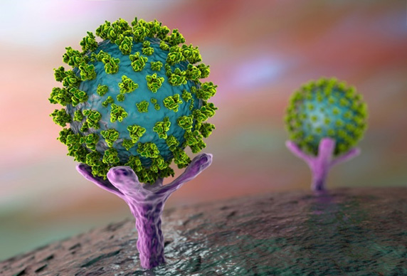 COVID-19-un mənşəyi tapıldı