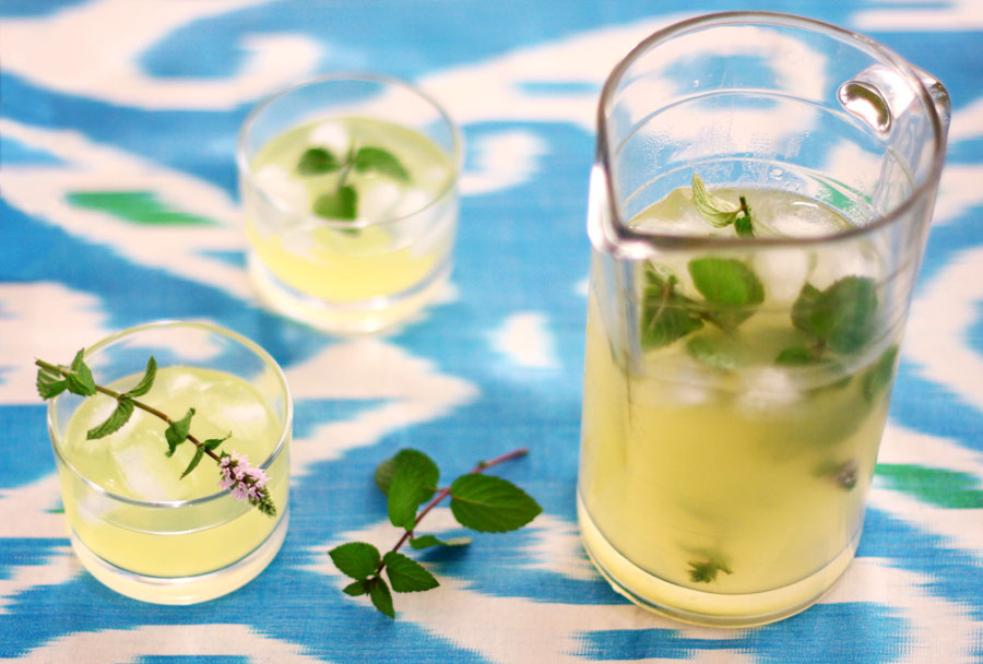 Respirator virus xəstəliklərinin dərmanı - Biyan kökü