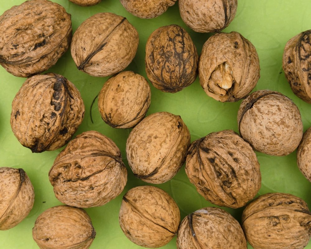 Rasiona qoz əlavə etmək üçün - 3 SƏBƏB