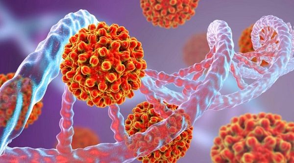 Koronavirus mədəaltı vəzidə çoxalır - TƏDQİQAT