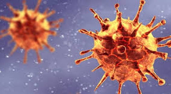 Türkiyədə koronavirusun 2 yeni ştammı aşkarlanıb