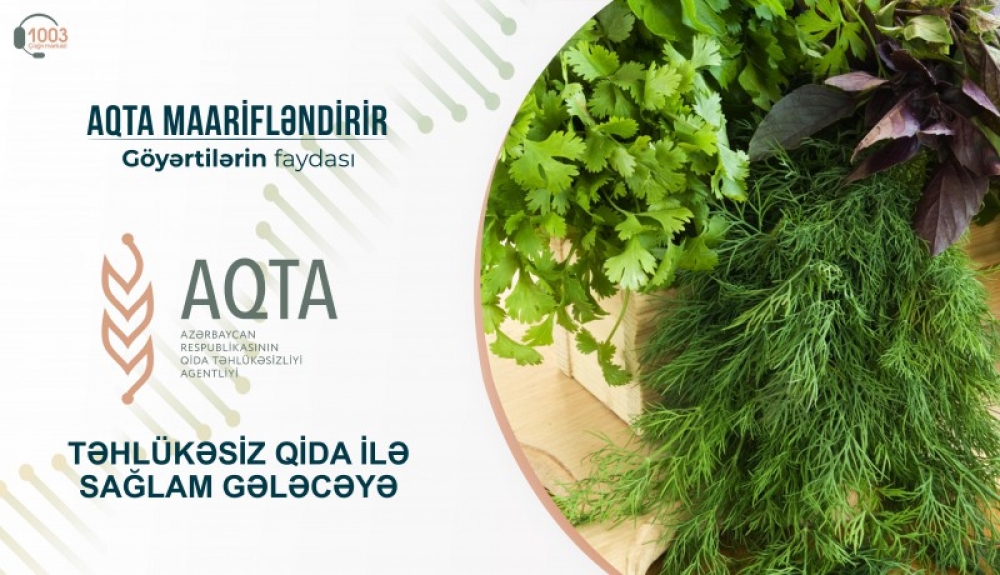 Bioloji aktiv maddə və vitaminlərlə zəngin göyərtilərin FAYDASI