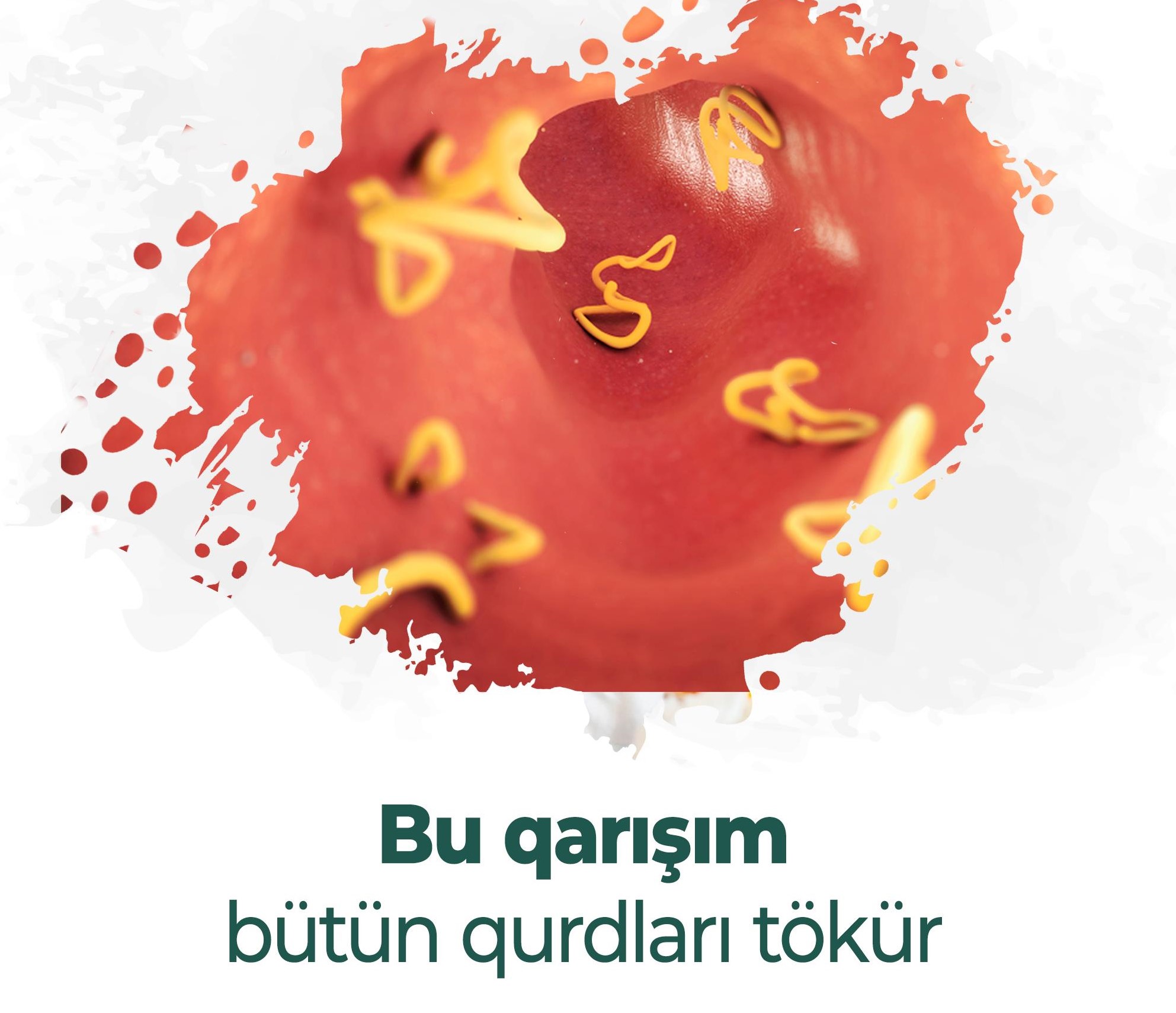 Orqanizmdəki bütün qurdları tökən - FAYDALI QARIŞIM