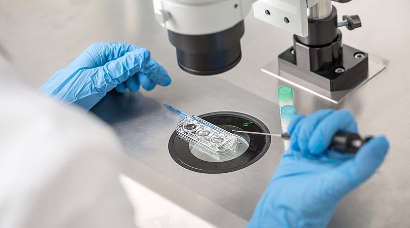 Kənd Təsərrüfatı Nazirliyi süni mayalanma mütəxəssisləri hazırlayır