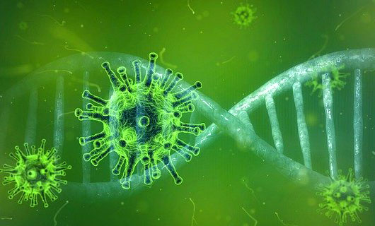 Koronavirusun “Britaniya” ştammı 111 ölkədə aşkar edilib  