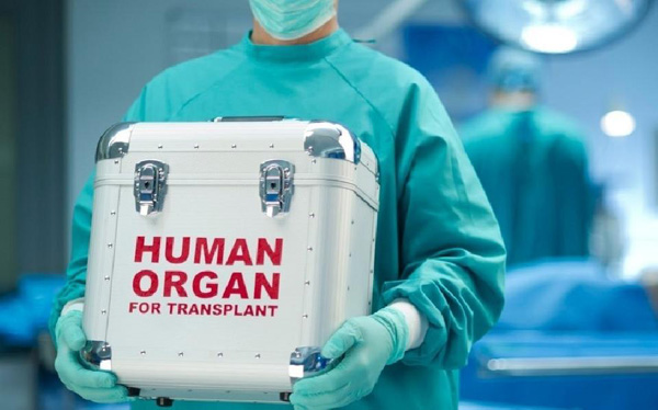 Orqan donorluğu və transplantasiya üzrə etika komissiyası yaradılacaq