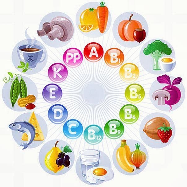 Vitamin tərkibli qidalar sümükləri möhkəmləndirir - SİYAHI