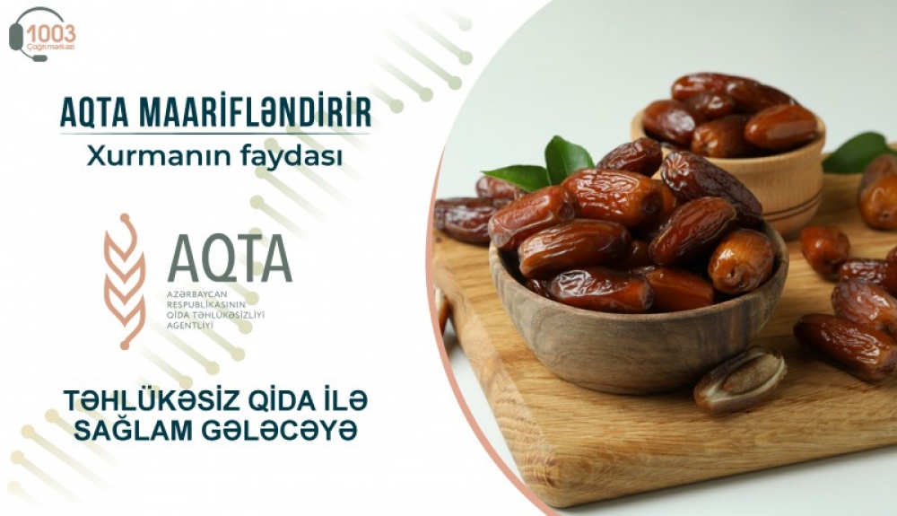 Xurmanın faydası - MƏQALƏ