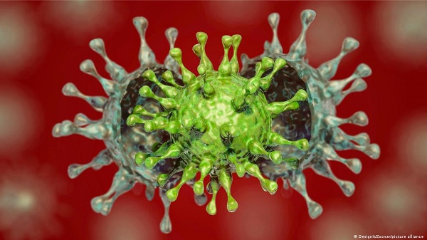 Koronavirusun ən yoluxucu ştammı açıqlandı  