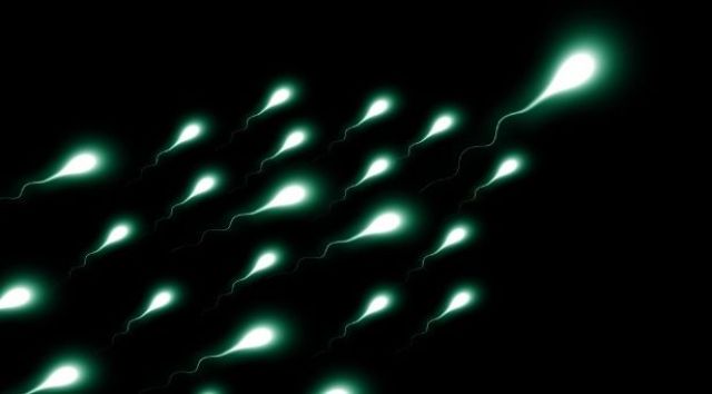 COVID-19 peyvəndi sperma sayını və keyfiyyətini artırır – TƏDQİQAT
