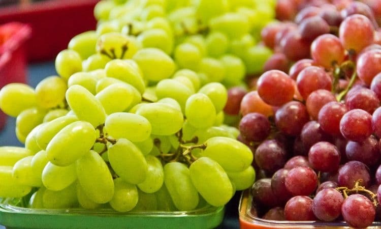 Üzümün sağlamlıq üçün 8 faydası