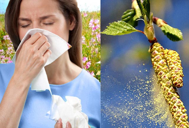 Həkim-fitoterapevtdən yaz allergiyasının müalicəsinə dair RESEPT