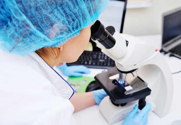 Böyrək biopsiyası kimlərə və necə tətbiq olunmalıdır? – Həkim-nefroloq