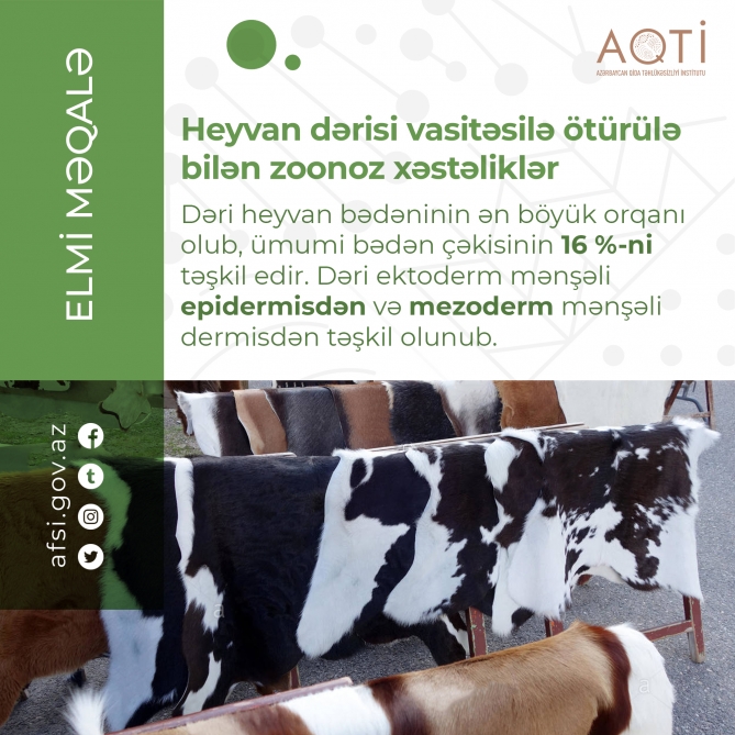 Heyvan dərisi vasitəsilə ötürülə bilən ZOONOZ XƏSTƏLİKLƏR