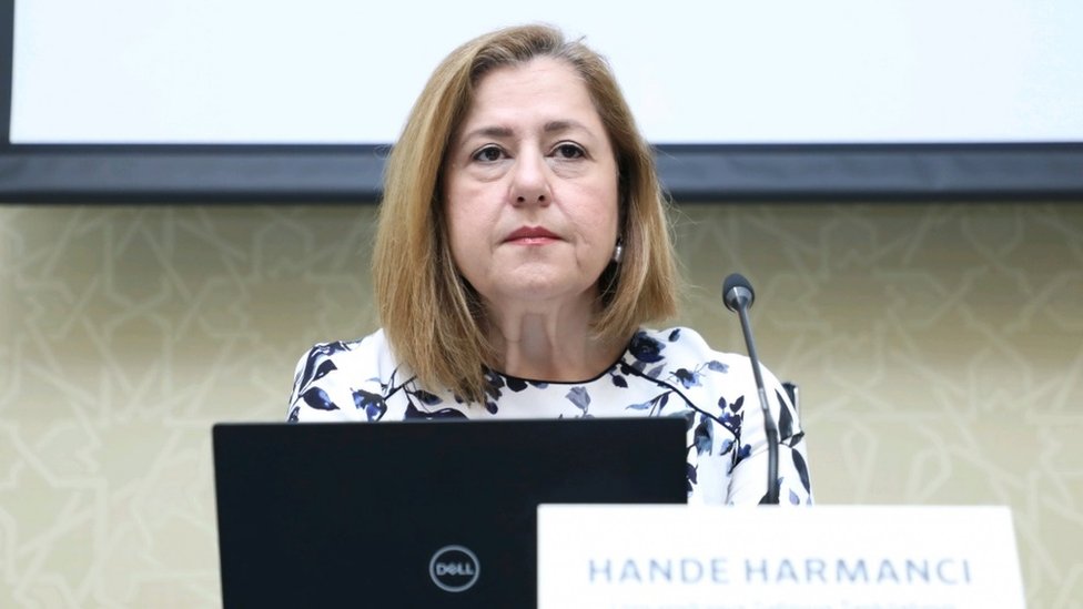 Qrip mövsümünün yaxınlaşması epidemioloji vəziyyətə təsir edə bilər - Hande Harmancı
