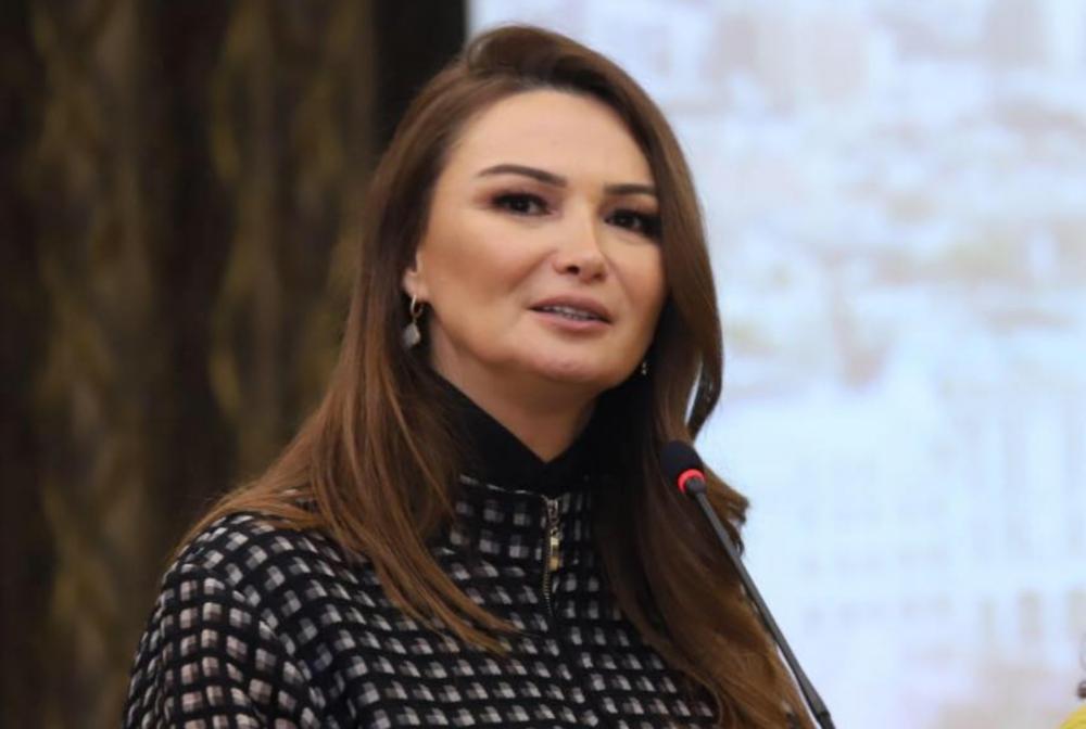 MM komitə sədri süni mayalanmanın icbari tibbi sığorta paketinə daxil olunmasını təklif edib