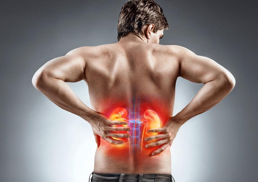 Böyrək xəstəliklərinin müalicəsində effektiv nəticə əldə olunmasına imkan verən - Böyrək biopsiyası