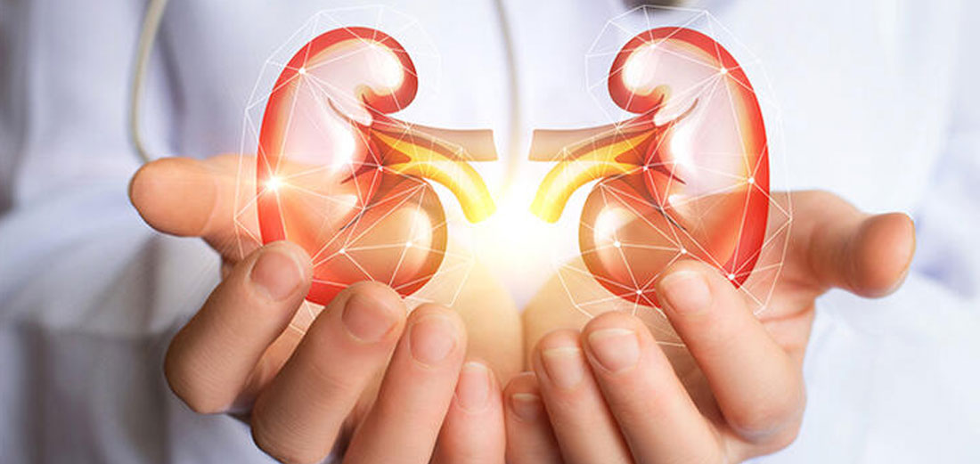 Böyrək transplantasiyası pasiyentin uzun və sağlam yaşamasını təmin edən müalicə yöntəmidir - Nefroloq