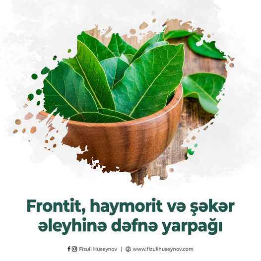 Frontit, haymorit və şəkər əleyhinə DƏFNƏ YARPAĞI