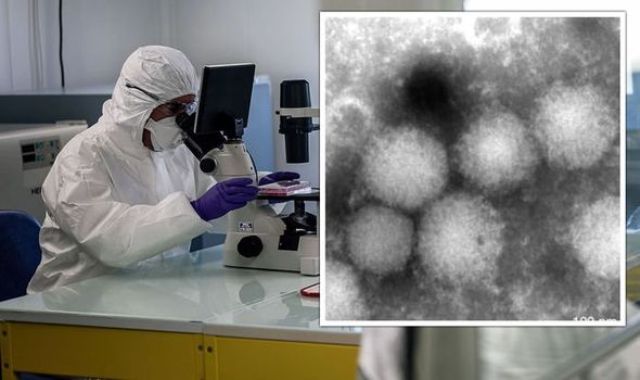 Yayılmaqda olan yeni virus - Yoluxucu xəstəliklərə yol açır 