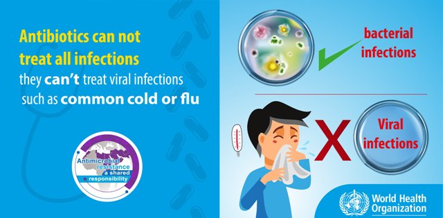 Həkim reportajı: Viral infeksiyalarda antibiotiklərdən istifadə edilməməlidir!