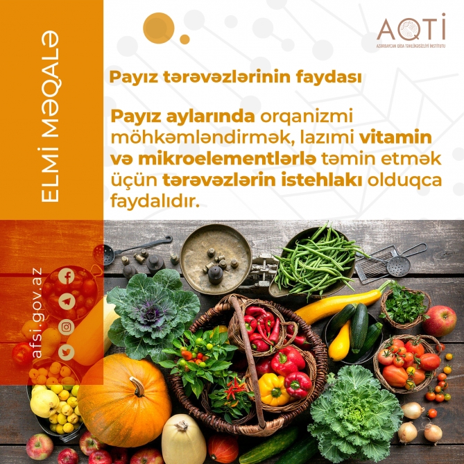 Payız tərəvəzlərinin faydası - AQTİ