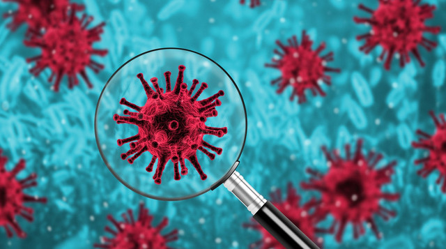 Koronavirus infeksiyası mövsümi xarakter daşıyacaq