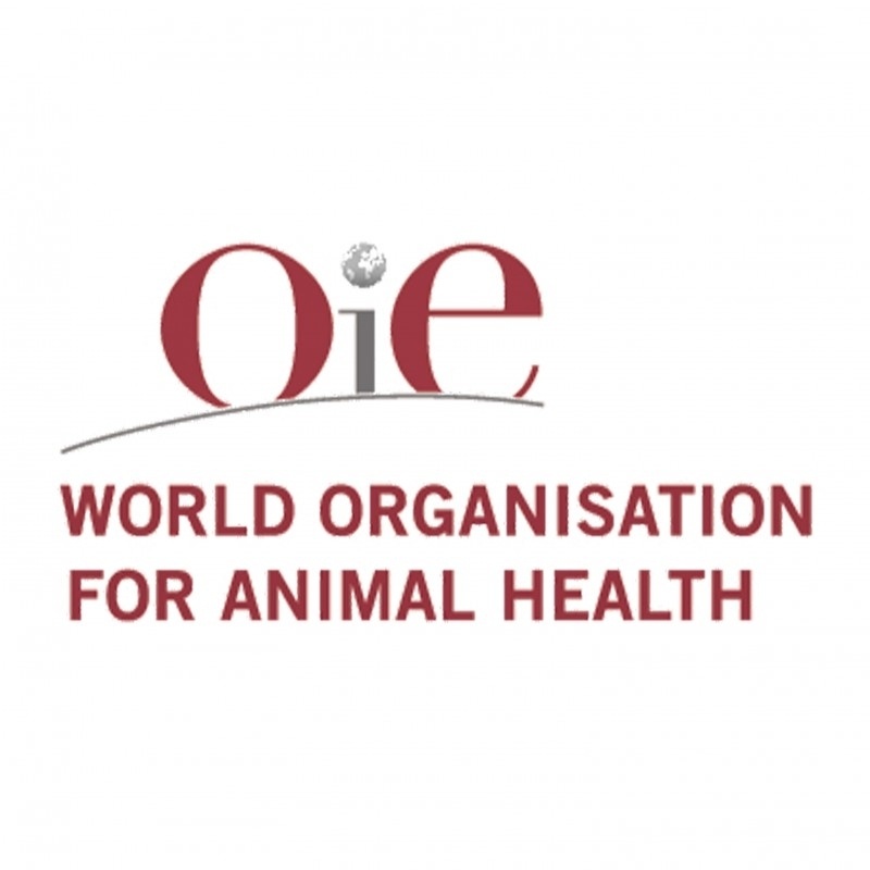 Yoluxucu heyvan xəstəliklərinin qarşısını almaq məqsədilə tədbirlər görülür