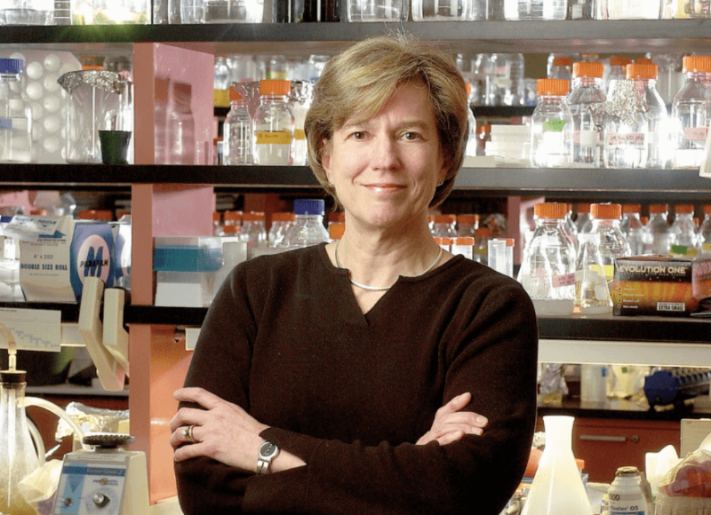 Texnologiyanın inkişafı ilə iqlim dəyişikliyi probleminin qarşısını ala bilərik - ABŞ rəsmisi